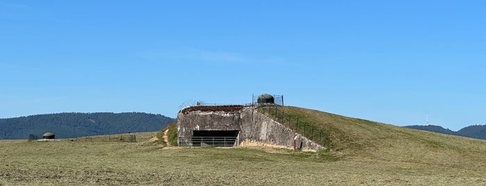 Fort de Schoenenbourg - Ligne Maginot is one of France.