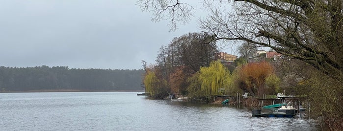 Straussee is one of Berlin chill 🇩🇪.