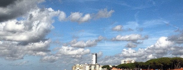 Follonica is one of Lugares favoritos de Viola.