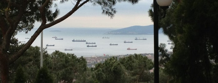 Gözdağı Korusu is one of pendik.