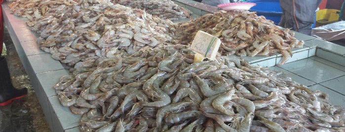 Sabah Fish Marketing is one of Neu Tea's Kota Kinabalu Trip.