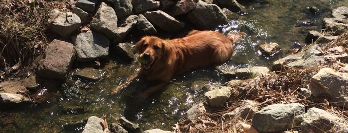 Green Hills County Park is one of Lugares favoritos de Bryan.