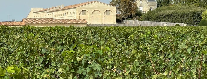 Château Mouton Rothschild is one of Stevenson Favorite Wineries.
