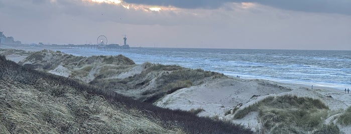 Strand Meijendel is one of Naturist / FKK beach and camping.
