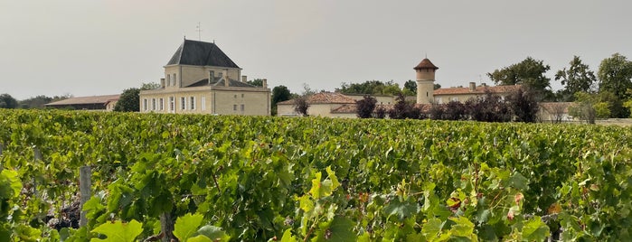 Château Brane Cantenac is one of Top picks for Vineyards.