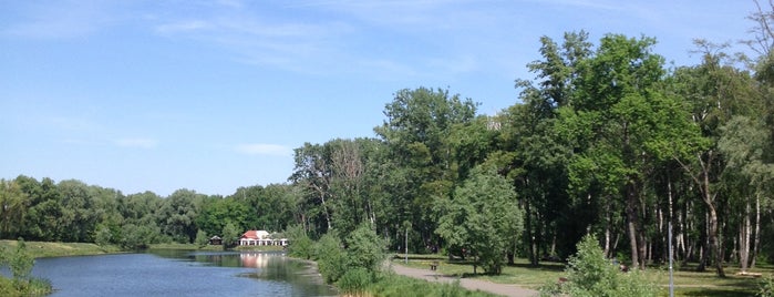 Парк «Перемога» is one of Lieux qui ont plu à Illia.