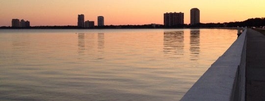 Bayshore Boulevard is one of Tampa Bay.