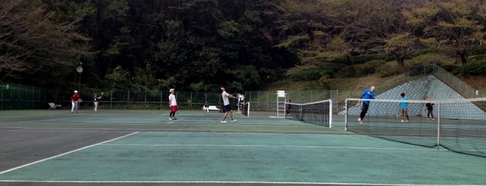 東富岡公園テニスコート is one of 神奈川県の公園.