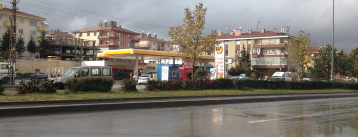 Shell is one of K G : понравившиеся места.