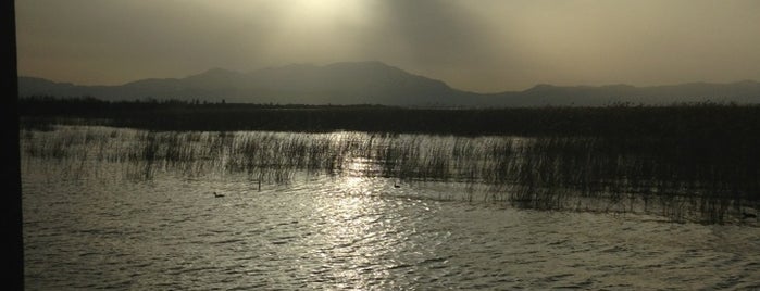 Yalı Balık Evi is one of Locais curtidos por Fatih 🌞.