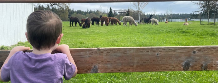 Krystal Acres Alpaca Farm is one of Seattle / Vancouver.