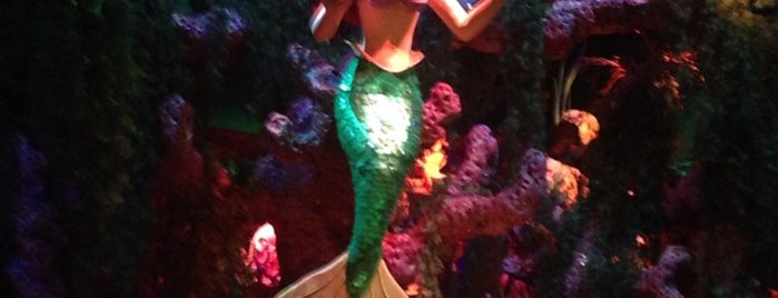 Under the Sea ~ Journey of the Little Mermaid is one of Things to do in Disney.