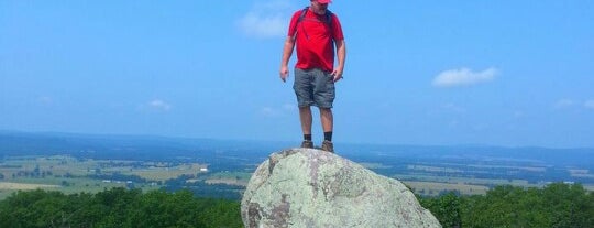Buford Mountain Summit 1720 ft is one of Hiking \ Outdoor Activity.