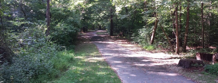 Ironwood Trail is one of Lugares favoritos de Gordon.