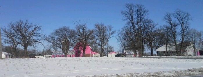 A Giant Pink Barn! is one of Check-ins.