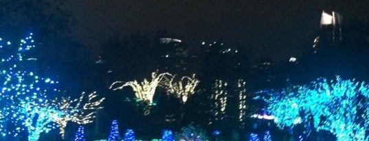 Atlanta Botanical Garden is one of Holiday Light Shows.
