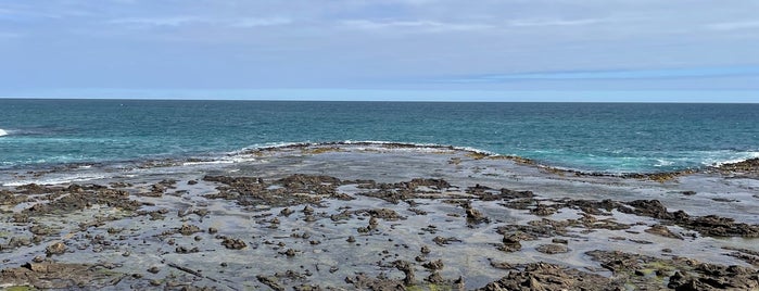 Curio Bay is one of New Zealand.