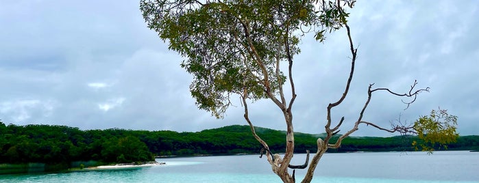 Lake Mckenzie is one of Australia.