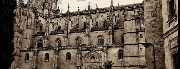 Catedral de Salamanca is one of Salamanca 🇪🇸.