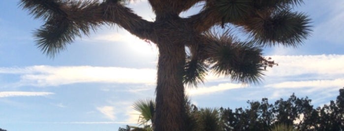 Mojave Desert is one of Location Scouting.