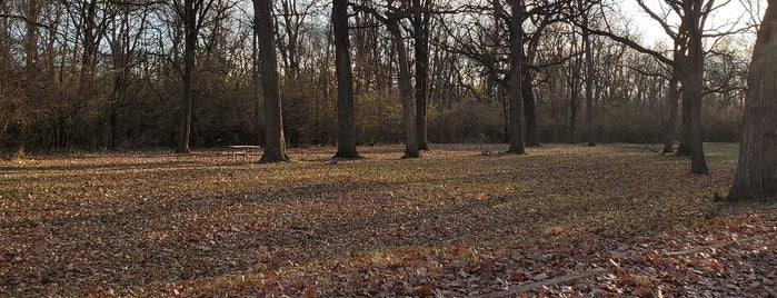 Columbia Woods is one of Cook County Woods.