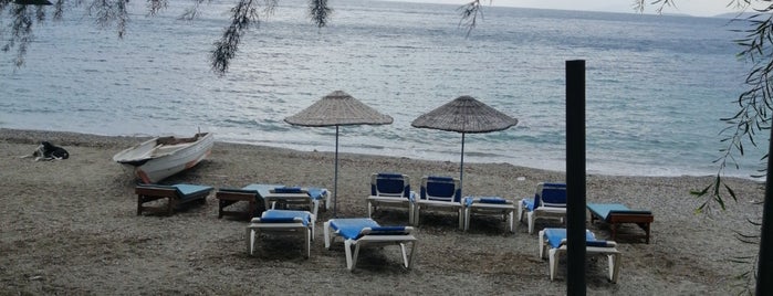 Golden Beach Sunset Resort is one of Lugares favoritos de FATOŞ.