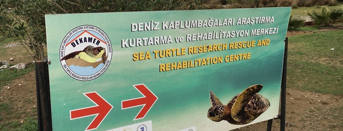 Sea Turtle Nesting Zone is one of Турция.