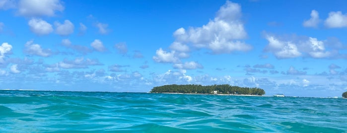 Blue Bay Marine Park is one of MAURITIUS.