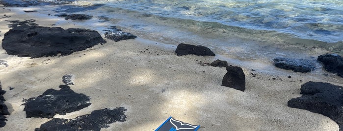 Blue Bay Beach is one of Mauritius 🇲🇺.