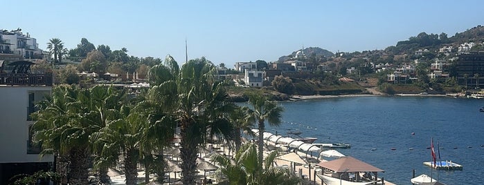 Delta Hotels By Marriott Bodrum is one of Tempat yang Disukai Tulin.