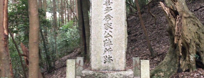 宇喜多秀家陣跡 is one of 城郭・古戦場.