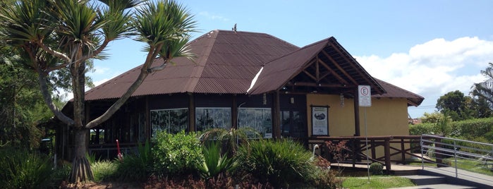 Restaurante e Petisqueira Polinesia is one of Santa Catarina.