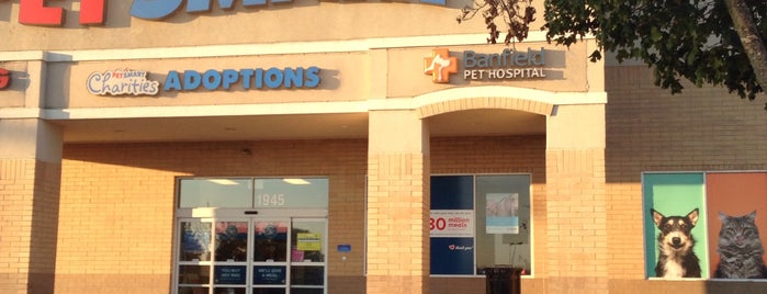 PetSmart is one of remove building.