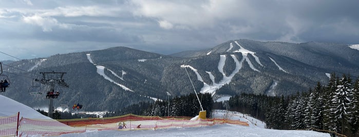 Панорама Бар 14 is one of bukovel.