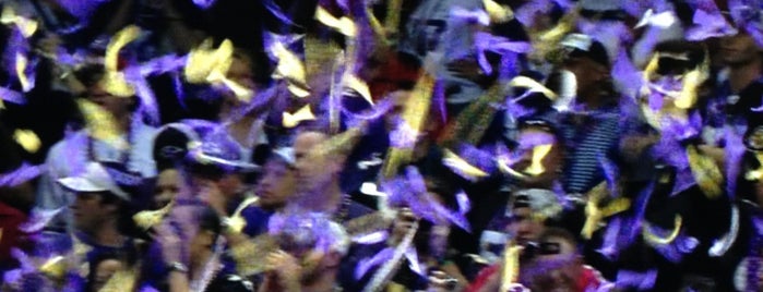 Ravens Superbowl Celebrationpocalypse is one of Local Stuff.