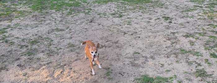 Surfside Beach Dog Park is one of Myrtle Br.