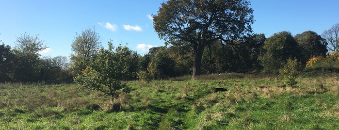 Bradlaugh Fields is one of Guide to Northampton's best spots.