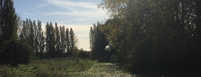Bradlaugh Fields is one of Guide to Northampton's best spots.