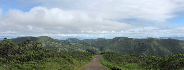 Coyote Ridge Trail is one of สถานที่ที่ Tantek ถูกใจ.