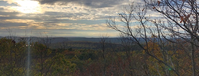 Ramapo Mountain State Forest is one of Date Ideas ~ 2.