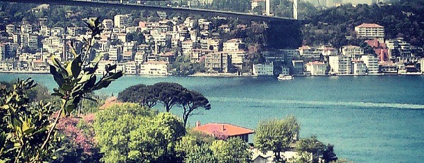 Mihrabat Korusu is one of Istanbul.
