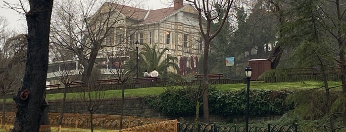 Emirgan Korusu is one of Laila : понравившиеся места.