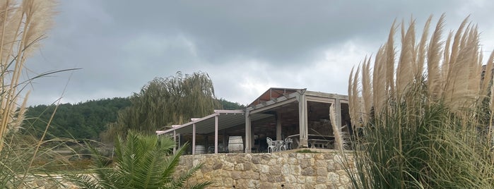 USCA Şarapçılık is one of Şarap Bar.