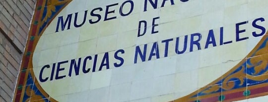 Museo Nacional de Ciencias Naturales is one of Madrid: Museos y Galerías de Arte.