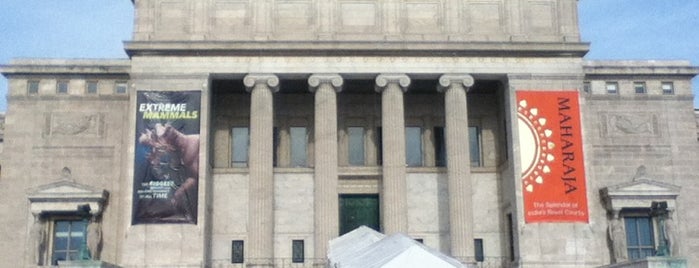 The Field Museum is one of Chicago planning.
