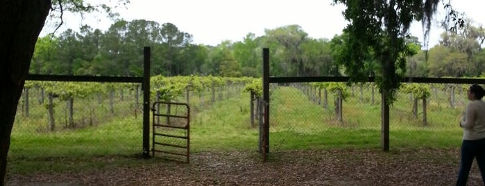 Irvin House Vineyards is one of SC out of town to-do list.