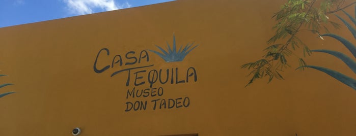 Museo Del tequila is one of Mexico.