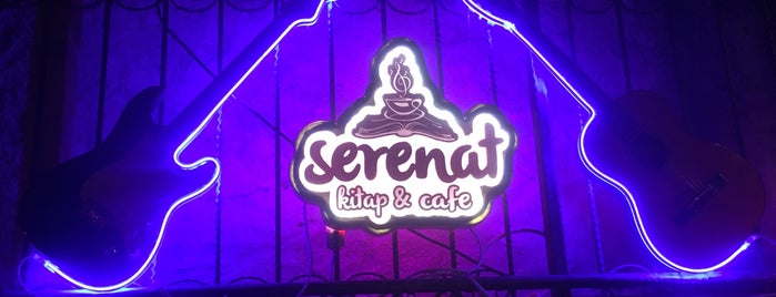 Serenat Kitap & Cafe is one of Hüseyinさんの保存済みスポット.