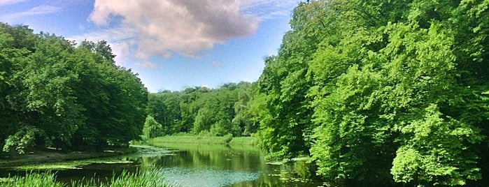 Голосіївський парк ім. Максима Рильського is one of Природка, места для залипания.