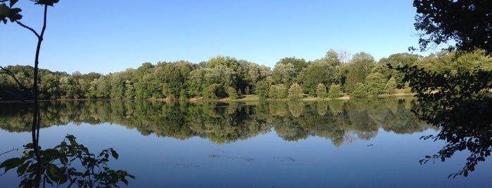 Ramapo Reservation is one of Hiking.